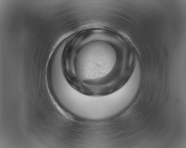 X0000052641034200507011341