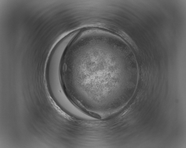 X0000052641036200507011341