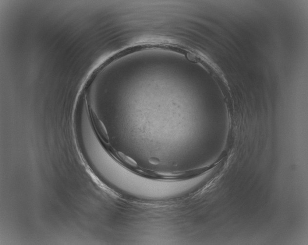 X0000052641037200507011341