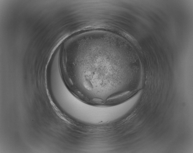 X0000052641039200507011341