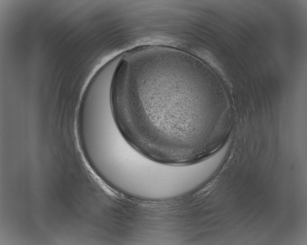 X0000052641040200507011341