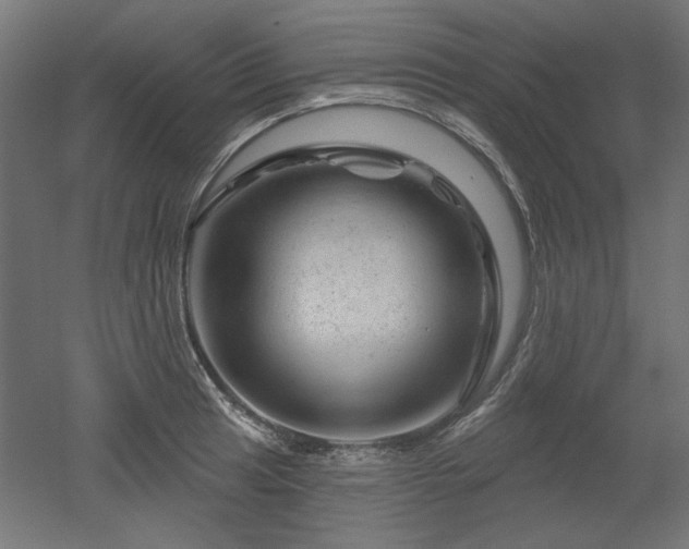 X0000052641041200507011341