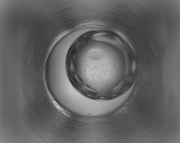 X0000052641042200507011341