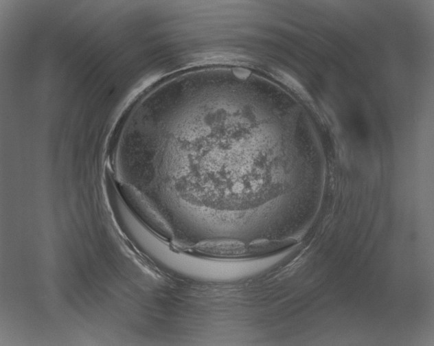 X0000052641043200507011341