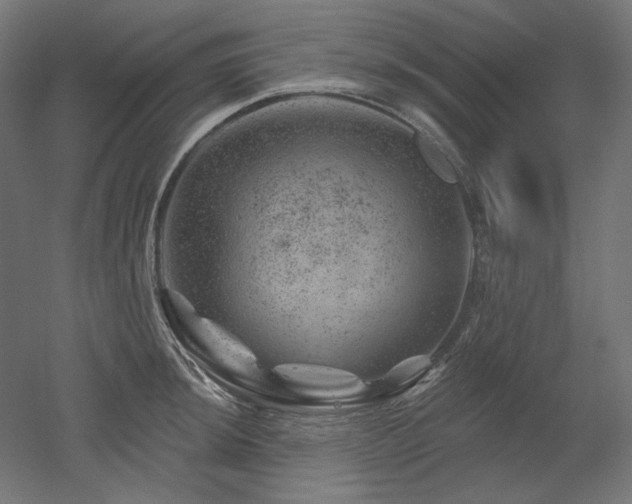 X0000052641044200507011341