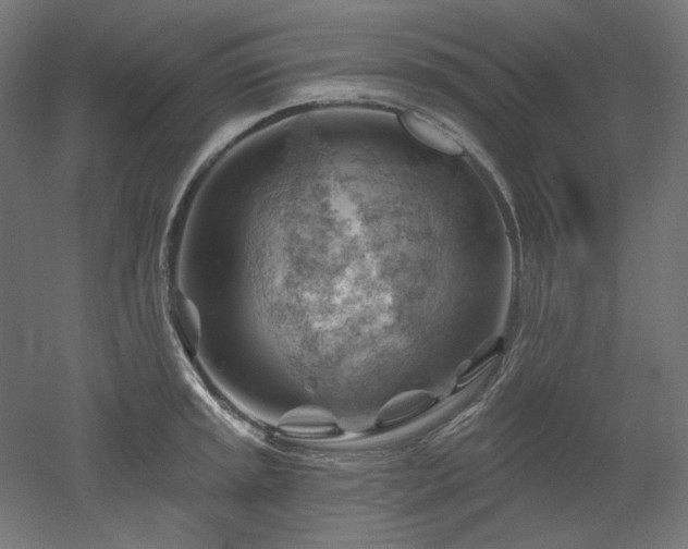 X0000052641045200507011341