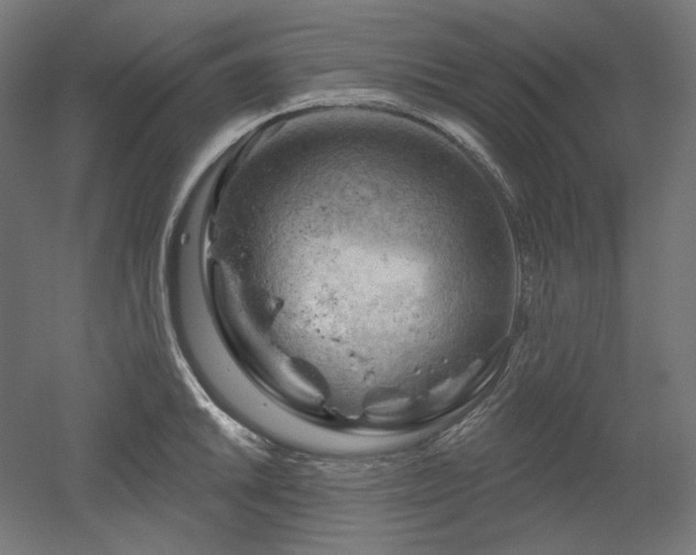 X0000052641046200507011341