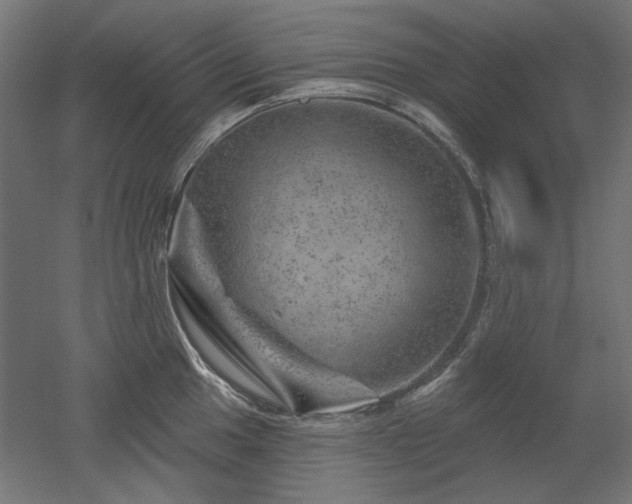 X0000052641049200507011341