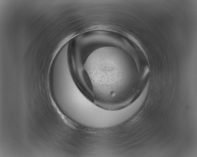 X0000052641050200507011341