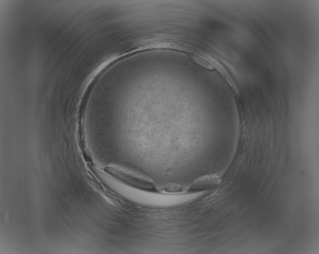 X0000052641051200507011341