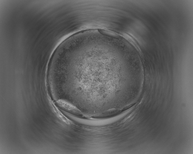 X0000052641052200507011341