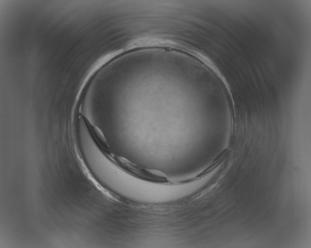 X0000052641053200507011341