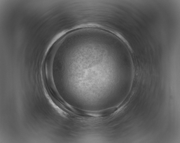 X0000052641054200507011341