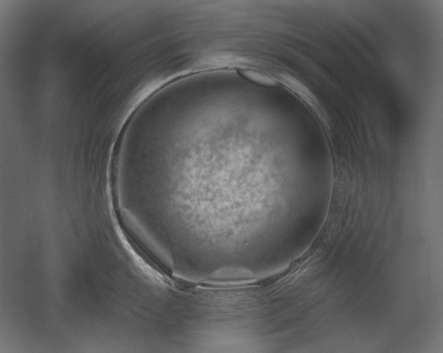 X0000052641055200507011341