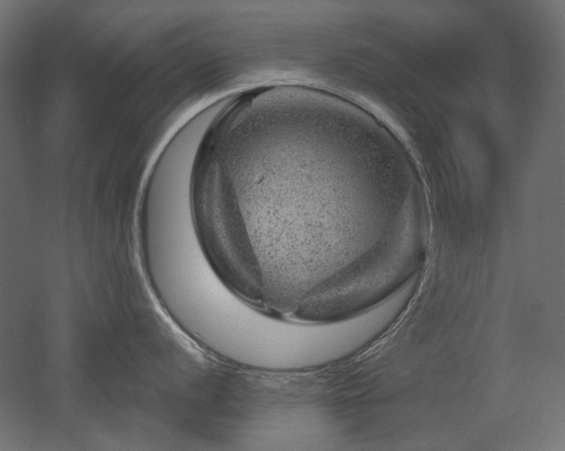 X0000052641056200507011341