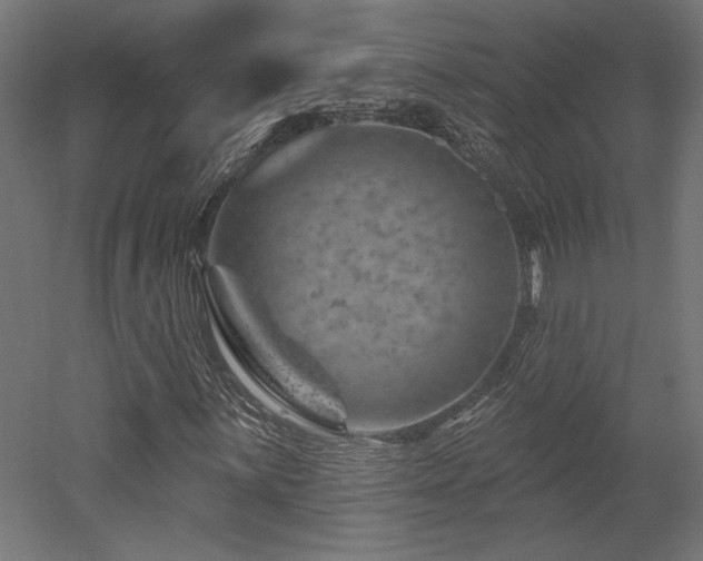 X0000052641059200507011340