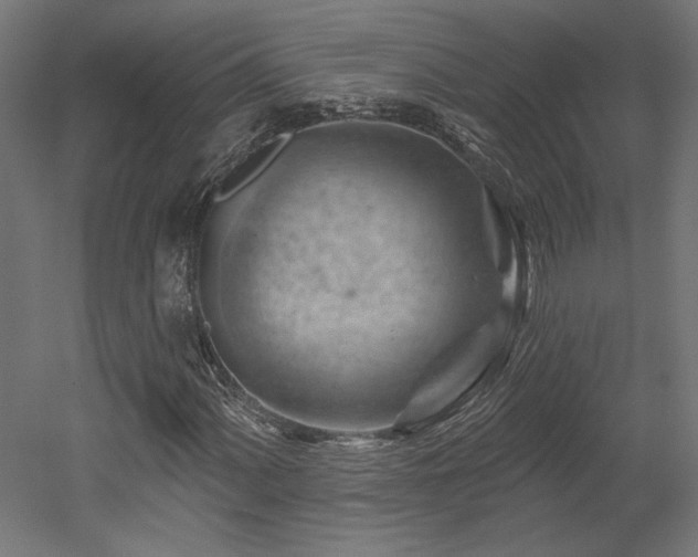 X0000052641060200507011340