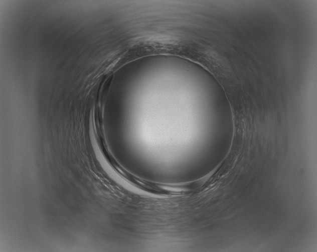 X0000052641061200507011340