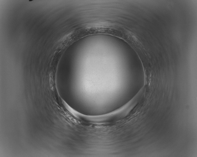 X0000052641062200507011340