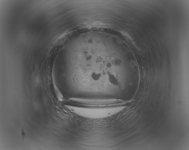 X0000052641063200507011340