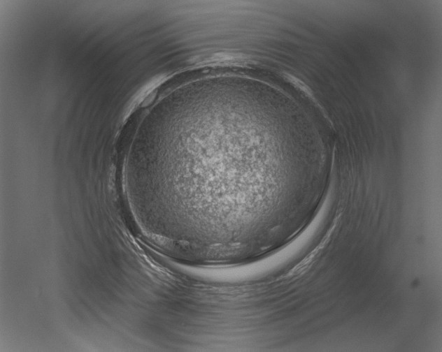 X0000052641066200507011340