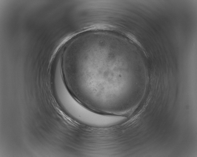 X0000052641067200507011340