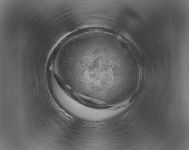 X0000052641068200507011340