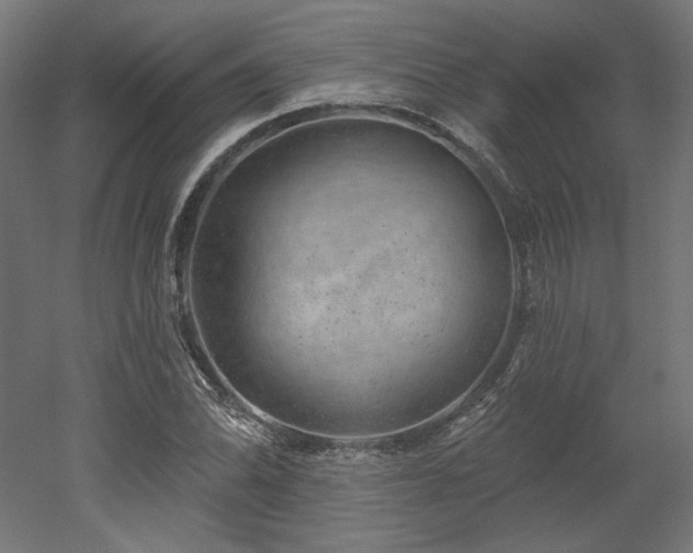 X0000052641070200507011340