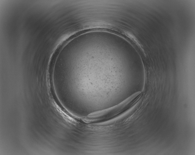 X0000052641072200507011340