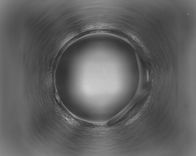 X0000052641073200507011340