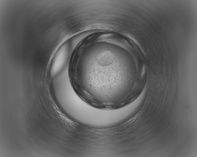 X0000052641075200507011340