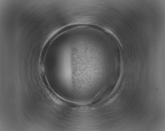 X0000052641077200507011340