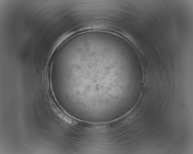 X0000052641078200507011340