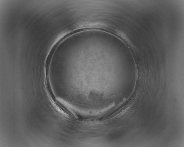 X0000052641079200507011340