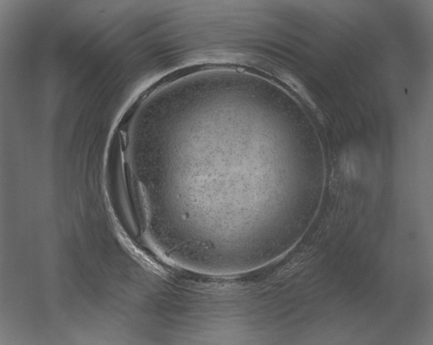 X0000052641080200507011340