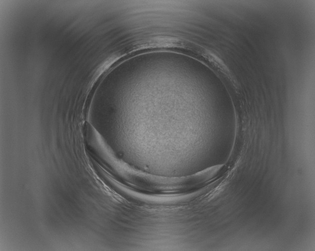 X0000052641081200507011340