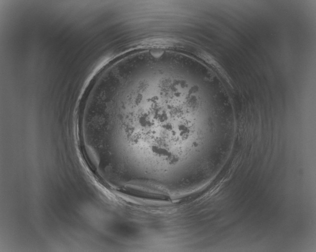 X0000052641083200507011340