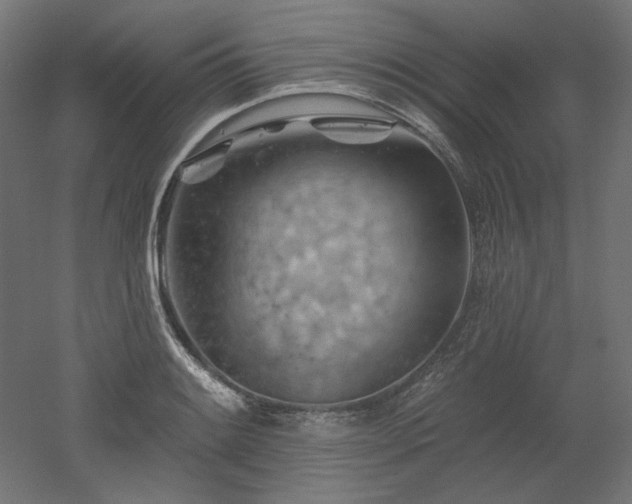 X0000052641084200507011340