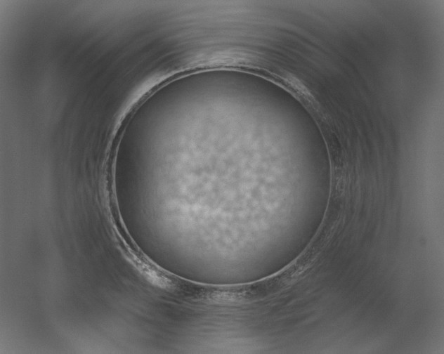 X0000052641086200507011340