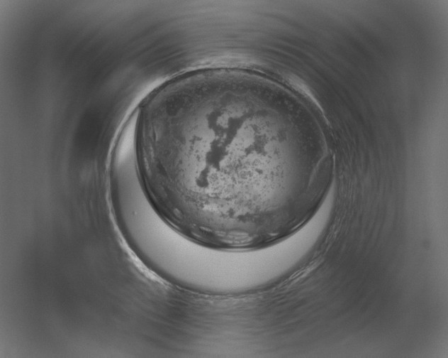 X0000052641087200507011340