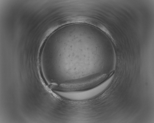 X0000052641088200507011340