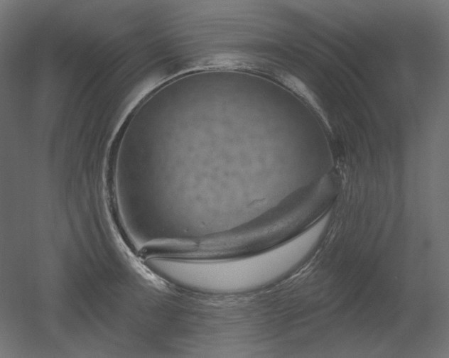 X0000052641091200507011340