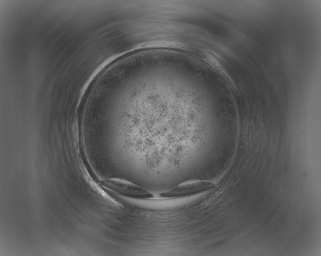 X0000052641092200507011340