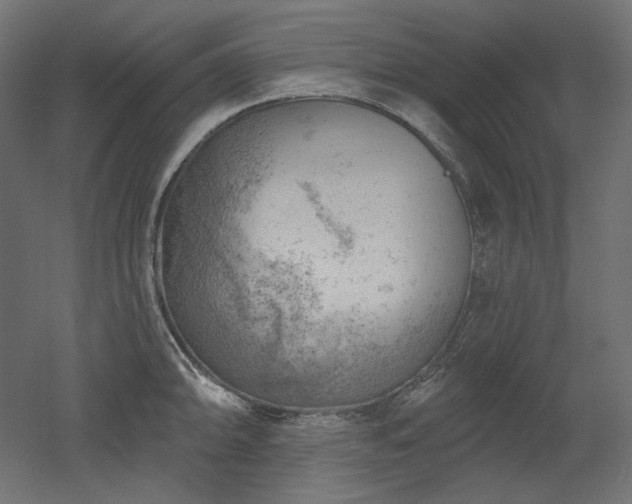 X0000052641094200507011340