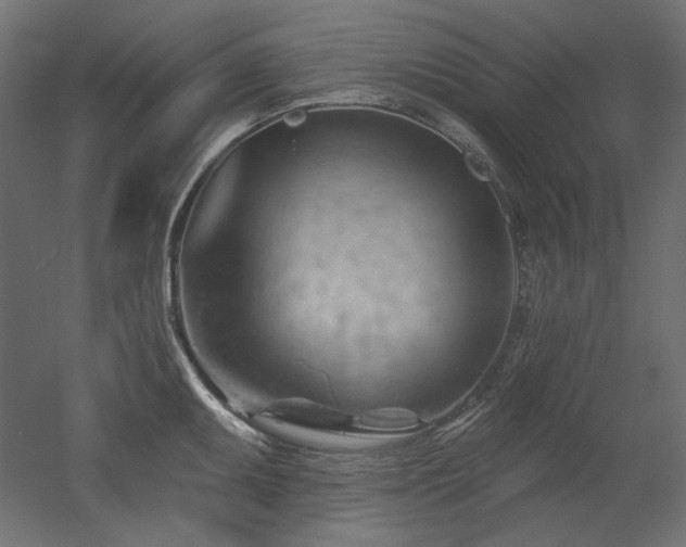 X0000052641095200507011340