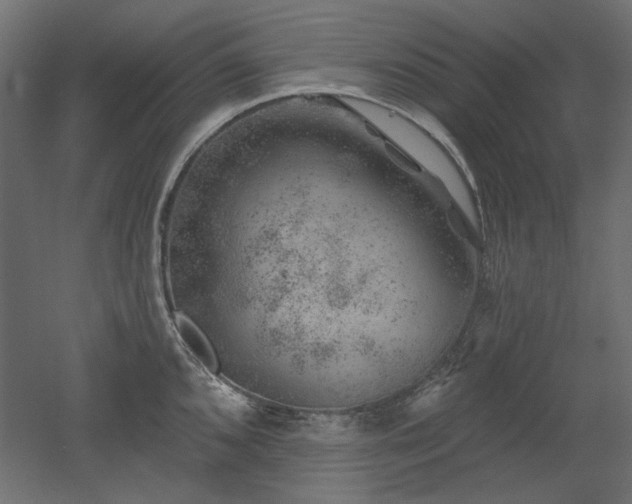 X0000052641096200507011340