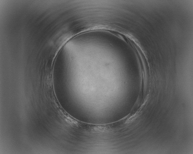 X0000052641097200507011340