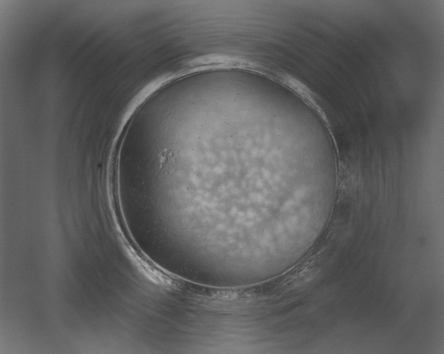 X0000052641098200507011340