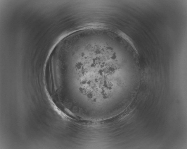 X0000052641099200507011340