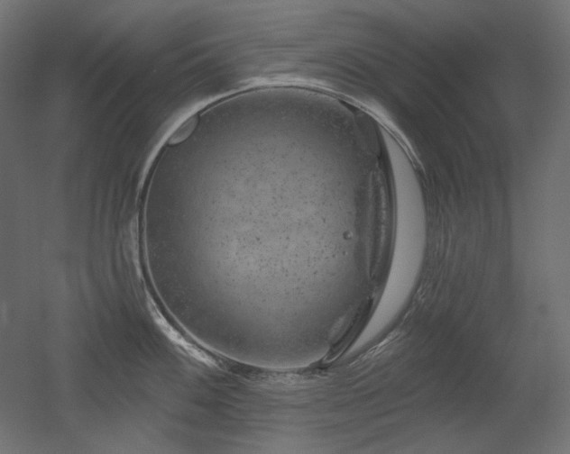 X0000052641100200507011340